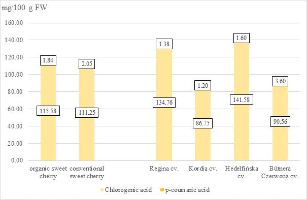 Fig. 4. The content of phenolic acids in examined cultivars of sweet cherry fruits from organic and conventional production. p-value (cultivation method): chlorogenic acid n.s., p-coumaric acid n.s.; p-value (cultivars): chlorogenic acid 0.