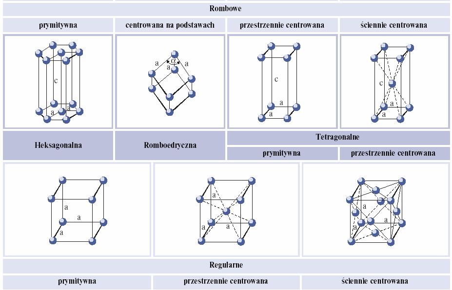 Schematy rodzajów sieci