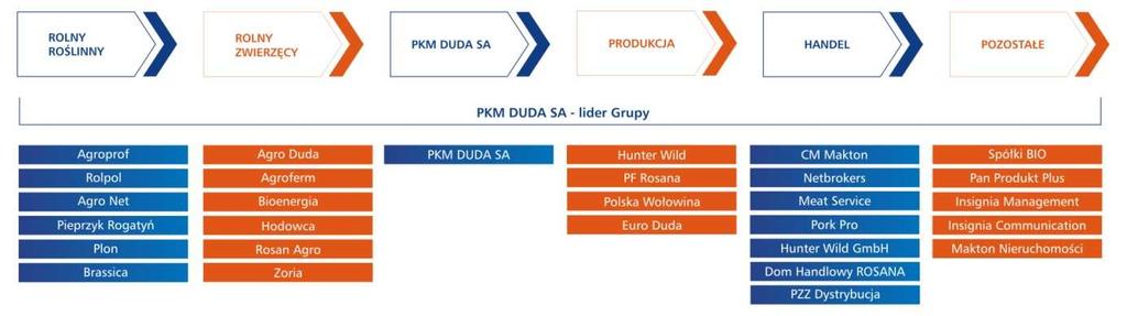 Segment PKM Duda Polski Koncern Mięsny DUDA S.A. jest podmiotem dominującym i liderem Grupy PKM Duda. Spółka funkcjonuje w sektorze mięsa wieprzowego.