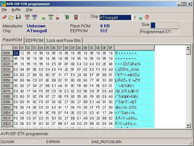 Programowanie Programowanie szeregowe