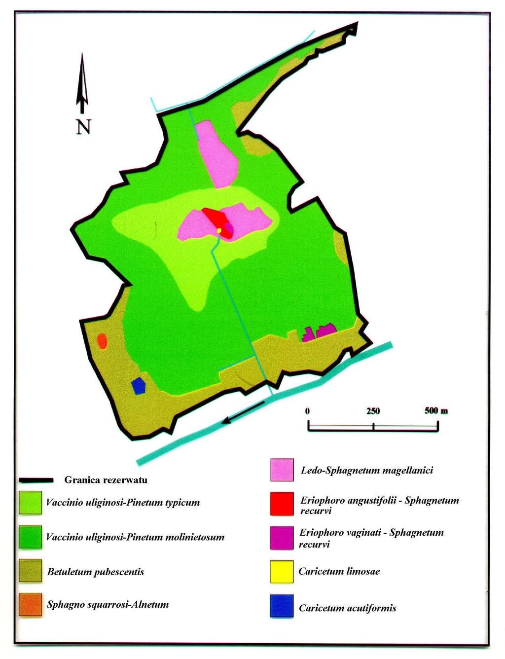 Rozmieszczenie roślinno linności w rezerwacie Zielony Mechacz Pisarek W., Polakowski B. 2001.