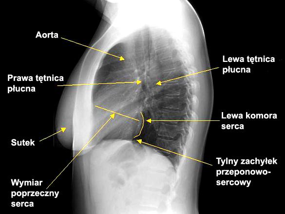 tlenu w pęcherzykach płucnych wynosi 100mmHg, we krwi tętniczej 75-100mmHg, żylnej 35-40mmHg.