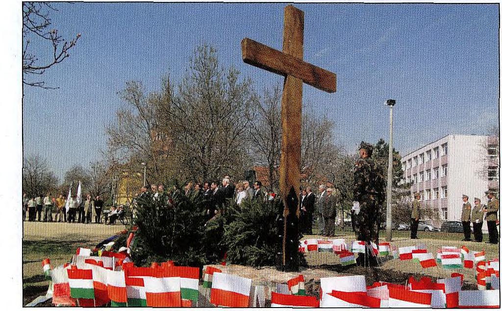 W tym roku wspólne obchody odbyły się w stolicy partnerskiego regionu, mieście Szekesfehervar (wym. syjkeszfehyjrwar) zwanym również Alba Regia.