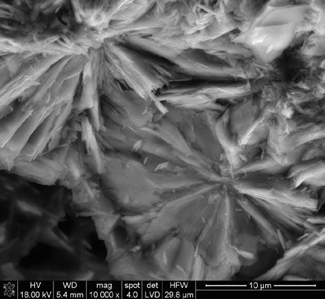 28 Joanna Trąbska Fig. 2. Morphology of non-ground cherry crystalline rock which was found at the Hostim site.