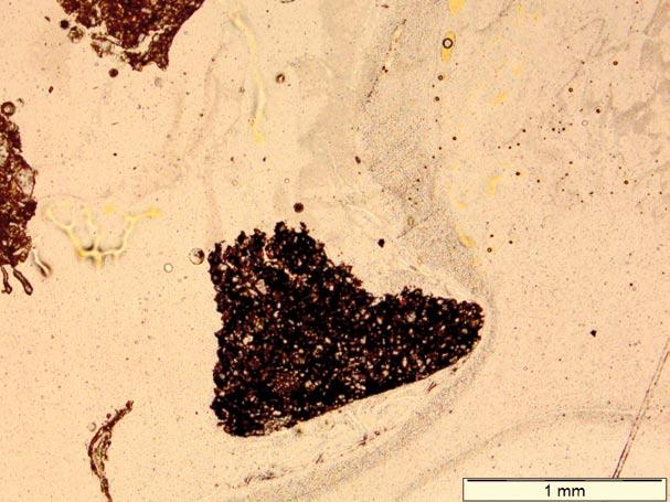 Fig. 7. Dzierżysław-35: smooth-surfaced powder Ryc. 7. Dzierżysław-35: gładka powierzchnia proszku Fig.