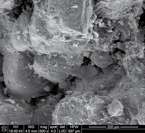 Micromorphology of the weathered Lower Triassic sedimentary hematite-bearing rocks from the