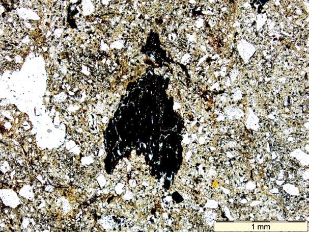 Fig. 13. Dzierżysław-35. Fragment of bone presumably processed intentionally.