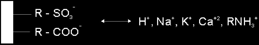 CHROMATOGRAFIA JONOWYMIENNA (IExchC) / JONOWA (IC) - SKRÓT ZASAD - Zastosowanie: rozdzielanie i oznaczanie nieorganicznych, albo organicznych kationów, albo/i anionów, w tym, kwasów karboksylowych,