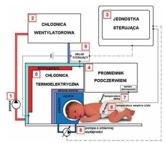 ciepła. Sterowanie odbywa się dzięki komputerowej jednostce sterującej kontrolującej wartość temperatury wewnątrz ciała.