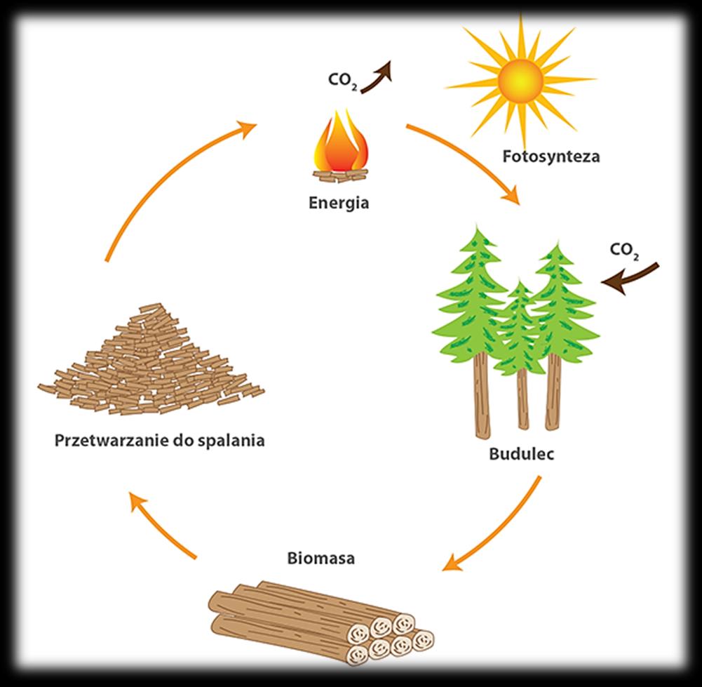 Kotły na biomasę Spalając biomasę, uzyskuje się dużą ilość ciepła, dlatego jest ona atrakcyjnym paliwem do kotłów grzewczych.