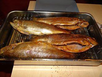 Wędzone pstrągi na gorąco w temp. 65-75 C przez 40 min. Ryby po wyjęciu z solanki, dokładnie obsuszamy.