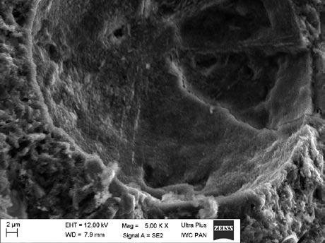 pow. 5 kx Rys. 5. Obraz mikroskopowy pora powietrznego, w który wpenetrował preparat EuroCret HMX pow. 25 kx pow. 5 kx pow. 25 kx Rys. 6.