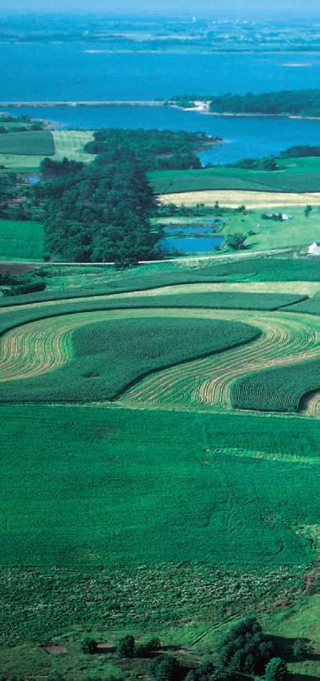 Użytkowanie ziemi na świecie UŻYTKOWANIE ZIEMI NA ŚWIECIE OBEJMUJE NASTĘPUJĄCE FORMY: użytki rolne stanowią około 37,9% powierzchni lądów: 11%: grunty orne pod zasiewami (pola uprawne) i grunty