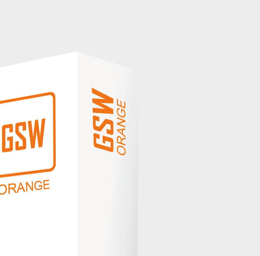 GSW Orange Program do wag samochodowych z funkcją gospodarki odpadami GSW Orange GSW Orange jest to