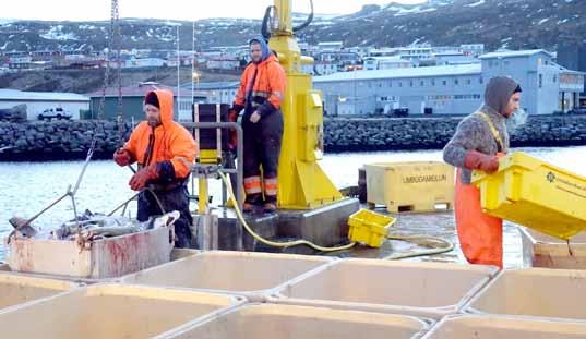 Gleðileg jól og farsælt nýtt ár Stjórn og starfsfólk Brims hf. óskar þess að nýtt ár færi Snæfellingum og landsmönnum öllum bjartsýni og jákvæðni.