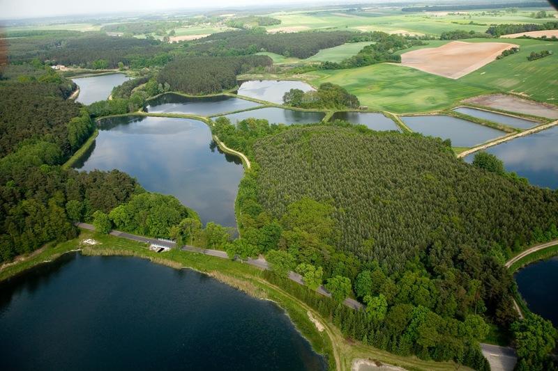 Sierakowski Park Krajobrazowy położony na powierzchni 30 413 ha, z czego lasy zajmują 9 898 ha, a wody 2 254