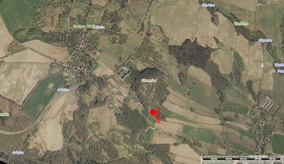Rys. 2.4. Dokładna lokalizacja dla profili: Profil 24. Opolno Zdrój. Lokalizacja: N 50 52 39,8, E 14 56 24,6, 296 m n.p.m. Stary kamieniołom, ściana wyrobiska. Szata roślinna: darń. Profil 27.
