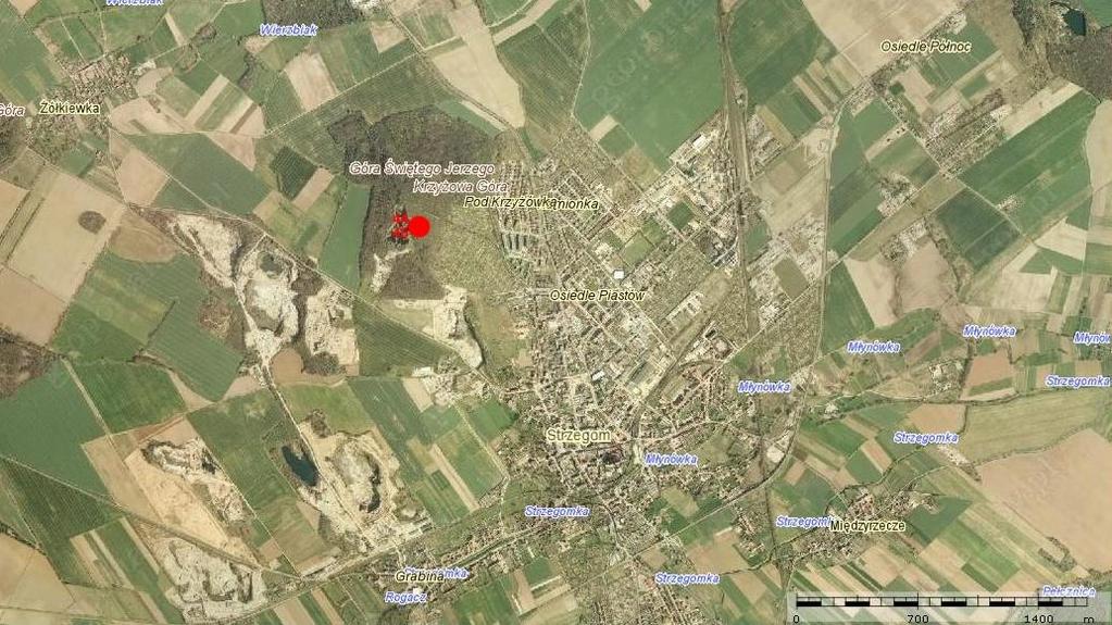 Rys. 2.5. Dokładna lokalizacja dla profili: Profil 44. Strzegom. Lokalizacja: N 50 58 14,4, E 16 19 52,7, 322 m n.p.m. Opuszczony kamieniołom.