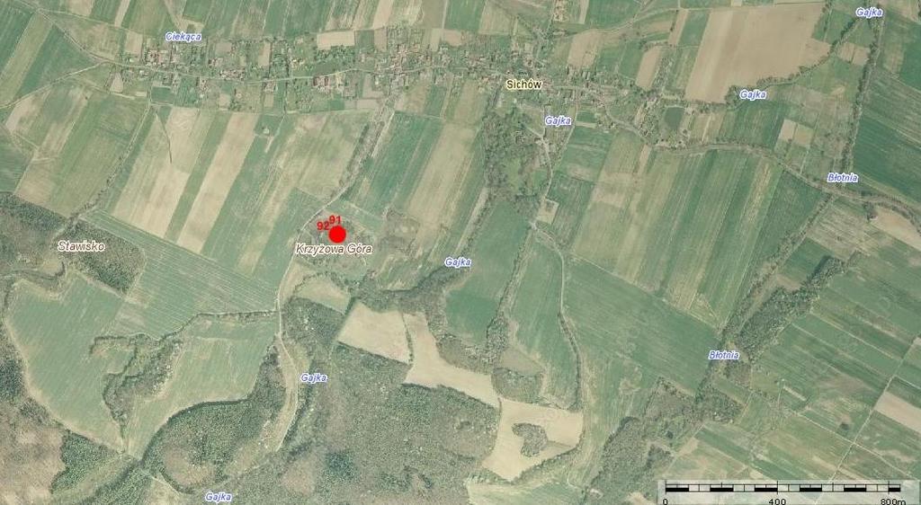 Rys. 2.15. Dokładna lokalizacja dla profili: Profil 91. Sichów. Lokalizacja: N 51 05 28,5, E 16 02 34,2, 251 m n.p.m. Szczyt wzniesienia nad ścianą nieczynnego kamieniołomu.