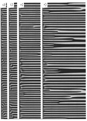 szybkie: K.R. Elder, J.D. Gunton & M. Grant, Phys.