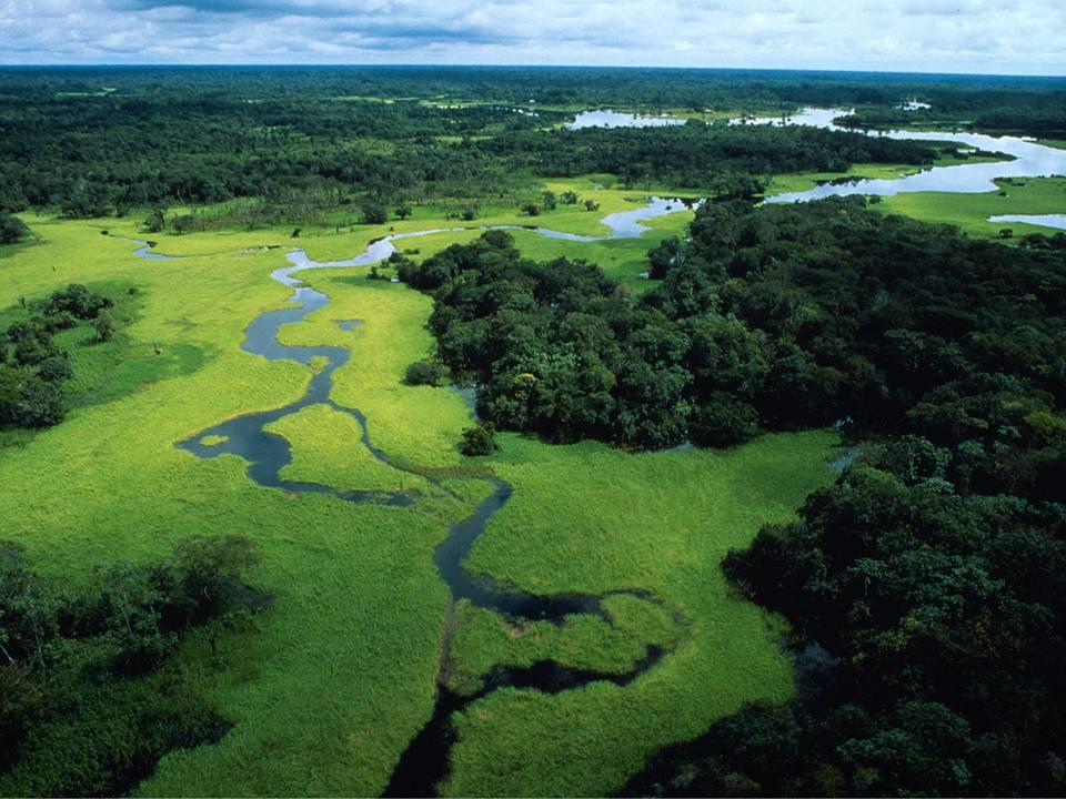 WWF Poola kogemused EL ERDF rahastatud looduskaitse projektidega Dorota Zawadzka-Stępniak Monika