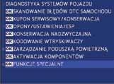 OPROGRAMOWANIE POZWALA NA ODCZYT BŁĘDÓW, PARAMETRÓW RZECZYWISTYCH, PRZEPROWADZENIE AKTYWACJI ORAZ PODSTAWOWYCH REGULACJI, JAK POMINIĘCIE IMMOBILIZERA,