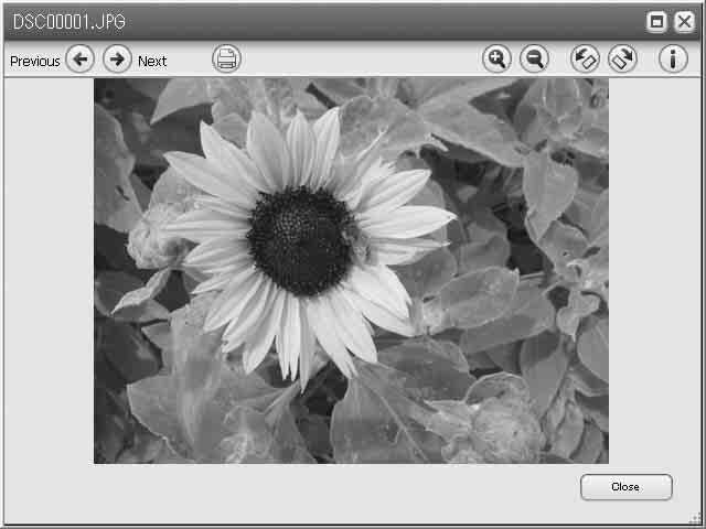 Obraz nieruchomy Za pomocą przycisków znajdujących się u góry ekranu można drukować i powiększać obrazy.