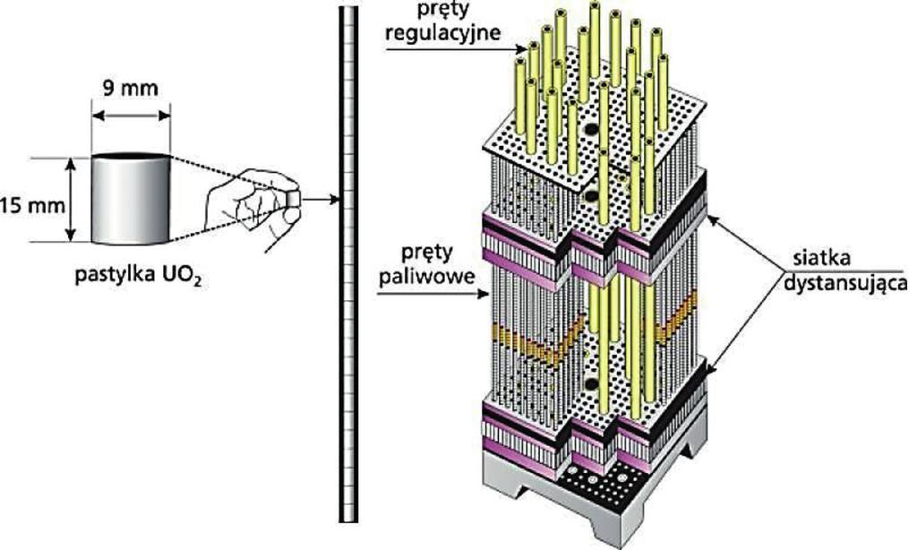 182 PAWEŁ KASZOWSKI grafitu. W reaktorach moderowanych wodą pełni ona dodatkowo rolę chłodziwa. Kiedy dochodzi do sytuacji awaryjnej, pod wpływem rosnącej temperatury woda wyparowuję.