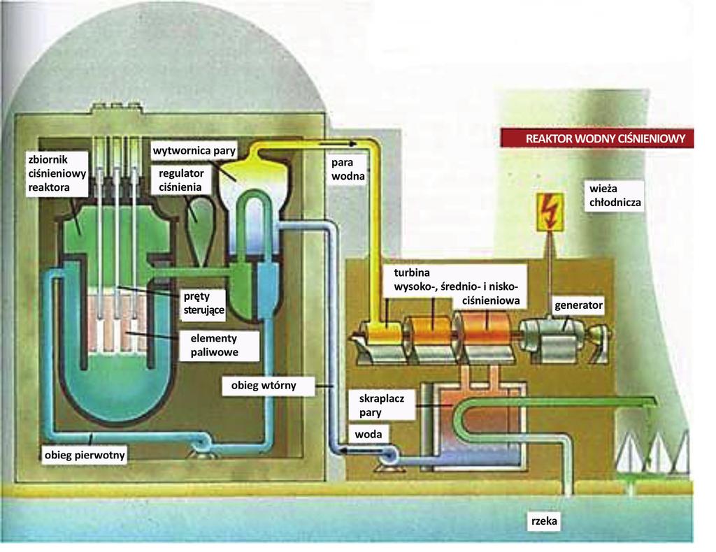 184 PAWEŁ KASZOWSKI Rysunek 6. Schemat elektrowni jądrowej z reaktorem typu PWR.