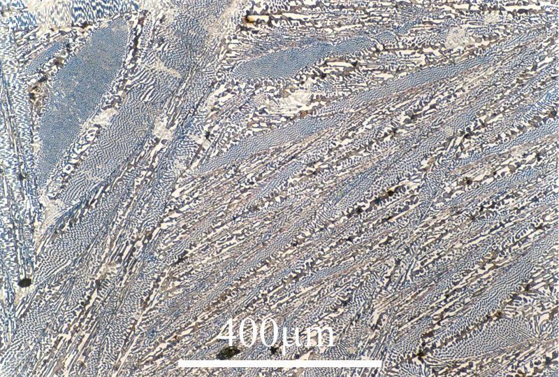 Ledeburyt mieszanina eutektyczna austenitu i cementytu. Powstaje z roztworu ciekłego o zawartości 4.3%C. Jest składnikiem surówek (żeliw białych).