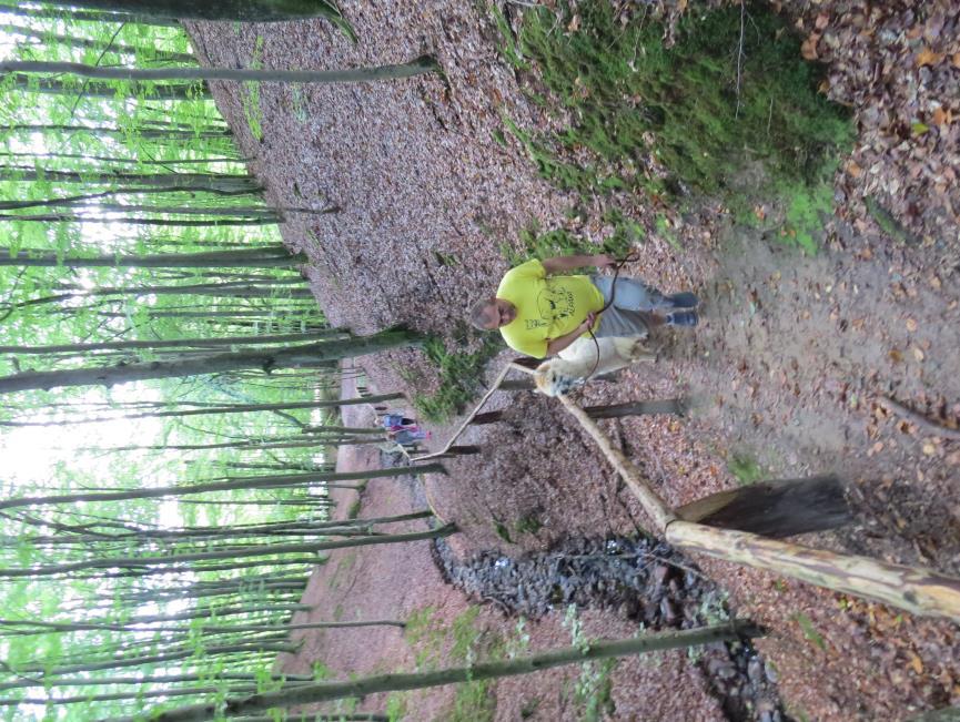 Alpako Trekking to wycieczki z alpakami w dowolnym terenie gdzie alpaka jest