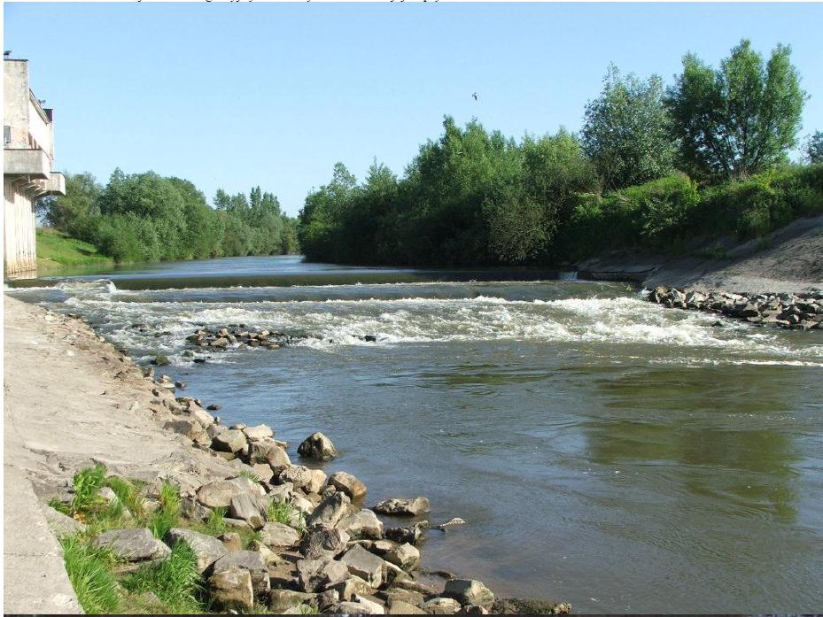 Rzeka Wisłoka