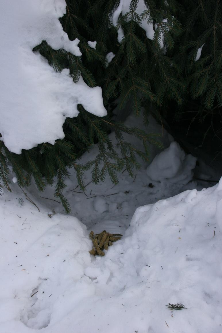 śnieżne Zimowe