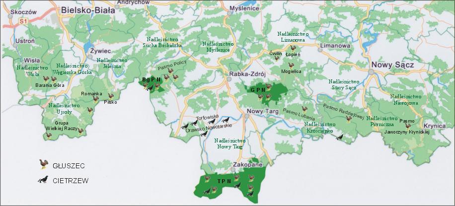 Słowacja Ostoje głuszca i