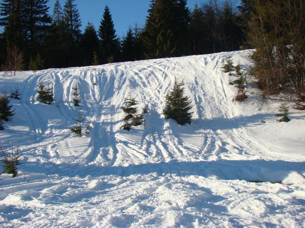 ślady rajdów