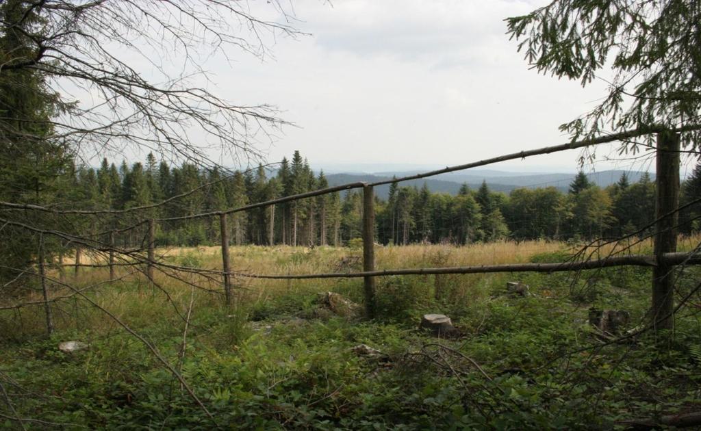 ZAGROŻENIA