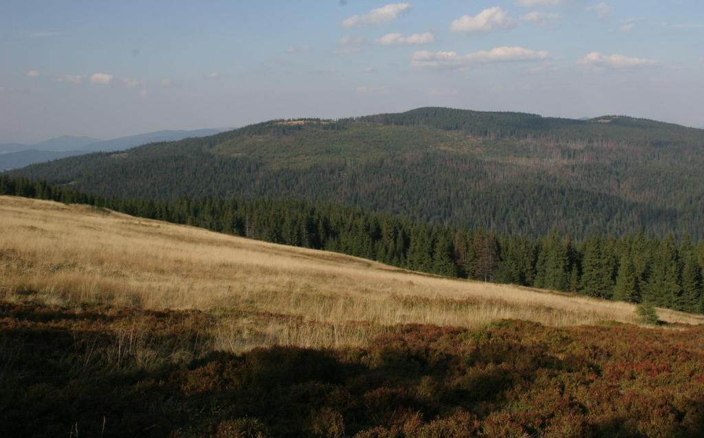 Gospodarowanie w lasach górskich w