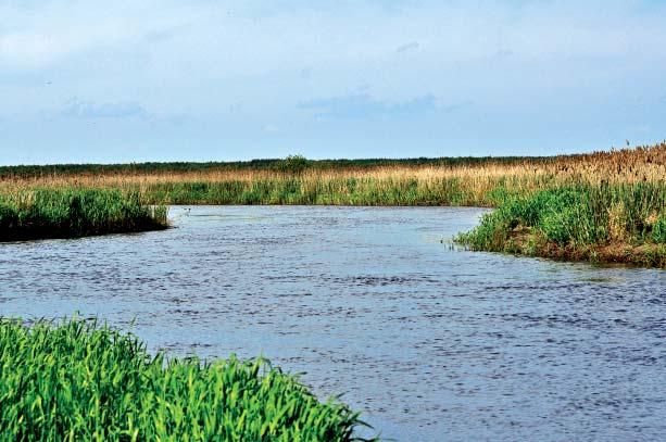 WPROWADZENIE DO METODY Pojęcie stanu ekologicznego odnosi się do JCWP określonych jako naturalne (Ryc. 1), natomiast dla JCWP silnie zmienionych lub sztucznych (Ryc.