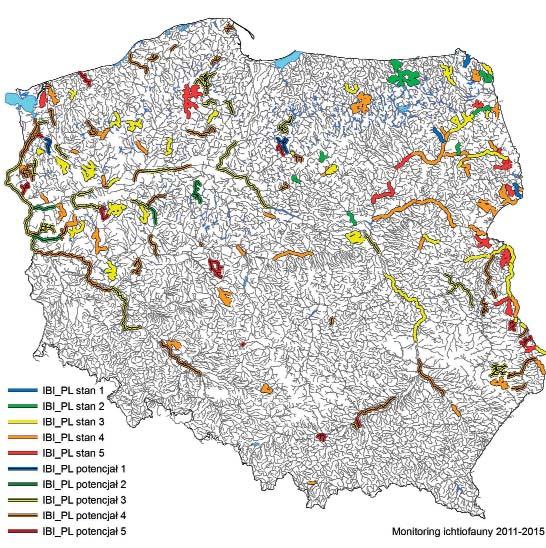 Ryc. 13. Ocena stanu/potencjału ekologicznego JCWP wykonana na podstawie ichtiofauny metodą IBI_PL na stanowiskach monitoringowych w latach 2011, 2012, 2014 i 2015.