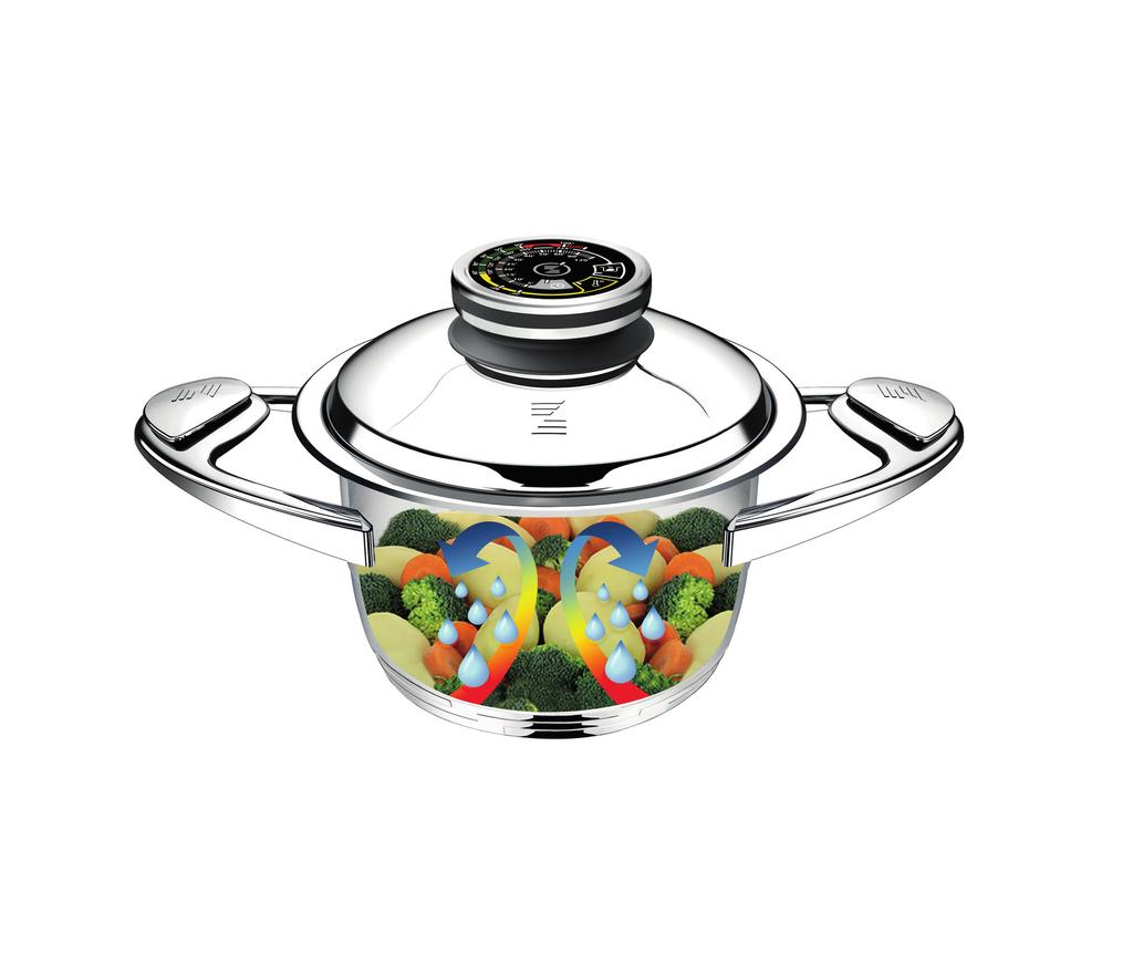 ZEPTER MASTERPIECE COOKWARE Gratulujemy zakupu!