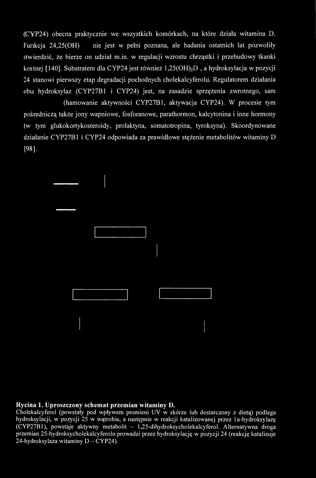 Substratem dla CYP24 jest również l,25(oh) 2 D 3, a hydroksylacja w pozycji 24 stanowi pierwszy etap degradacji pochodnych cholekalcyferolu.