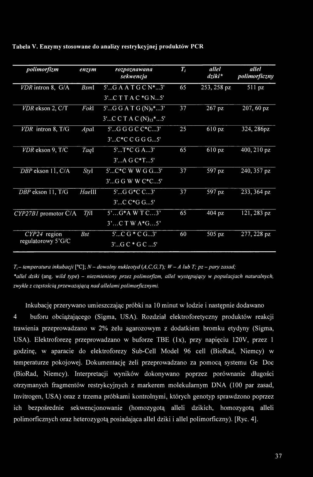 ..3' 3'...A G C*T...5' DBP ekson 11, C/A Styl 5\..C*C W WGG...3' 3'...G G W W C*C...5' DBP ekson 11, T/G Hae III 5\..G G*C C...3' 3'...C C*G G...5' CYP27B1 promotor C/A Tfil 5'...G*A W T C.