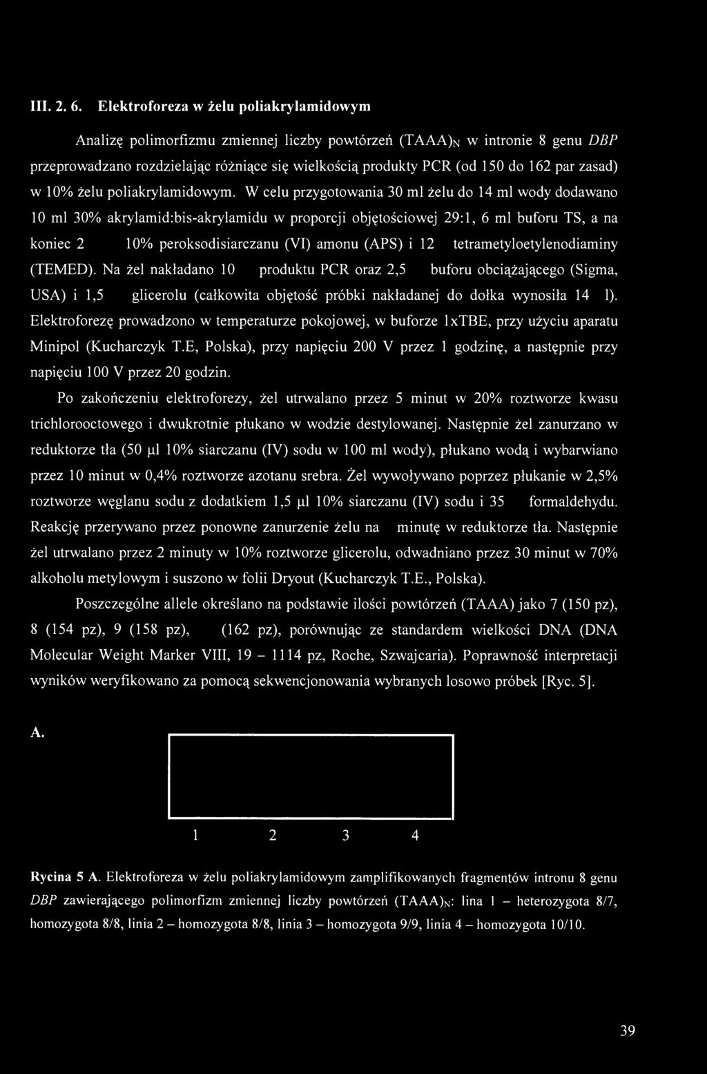 i12mikrol tetrametyloetylenodiaminy (TEMED).