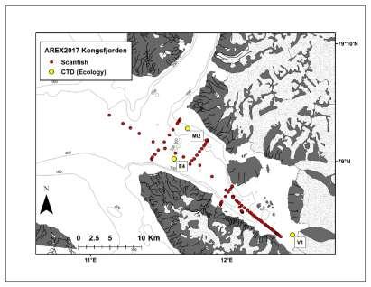 Rysunek 2. Lokalizacja przekrojów hydrograficznych oraz punktów pomiarów stacjonarnych CTD w Kongsfjorden. II. III.