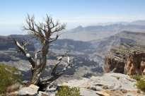 5 dzień WADI SHAB WADI TIWI SUR Wycieczka - spacer kanionem Wadi Ash Shab, na końcu