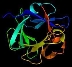 Białka rekombinowane Białka uzyskiwane z rekombinowanych genów, czyli