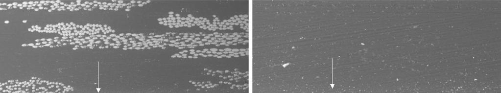 Arithmetical mean height of the surface S a Plain 0.138 0.577 715 85.7 Plain gelcoat 2.63 8.04 10.7 0.783 Mat 5.7 20.3 26 1.72 Mat gelcoat 2.78 5.16 7.94 0.901 3D 3.89 10.5 14.4 1.13 3D gelcoat 4.