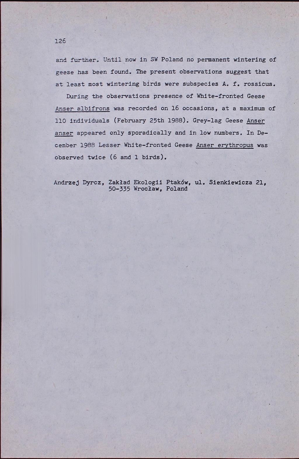 126 and further. Until now in SW Poland no permanent wintering of geese has been found. The present observations suggest that at least most wintering birds were subspecies A. f. rossicus.