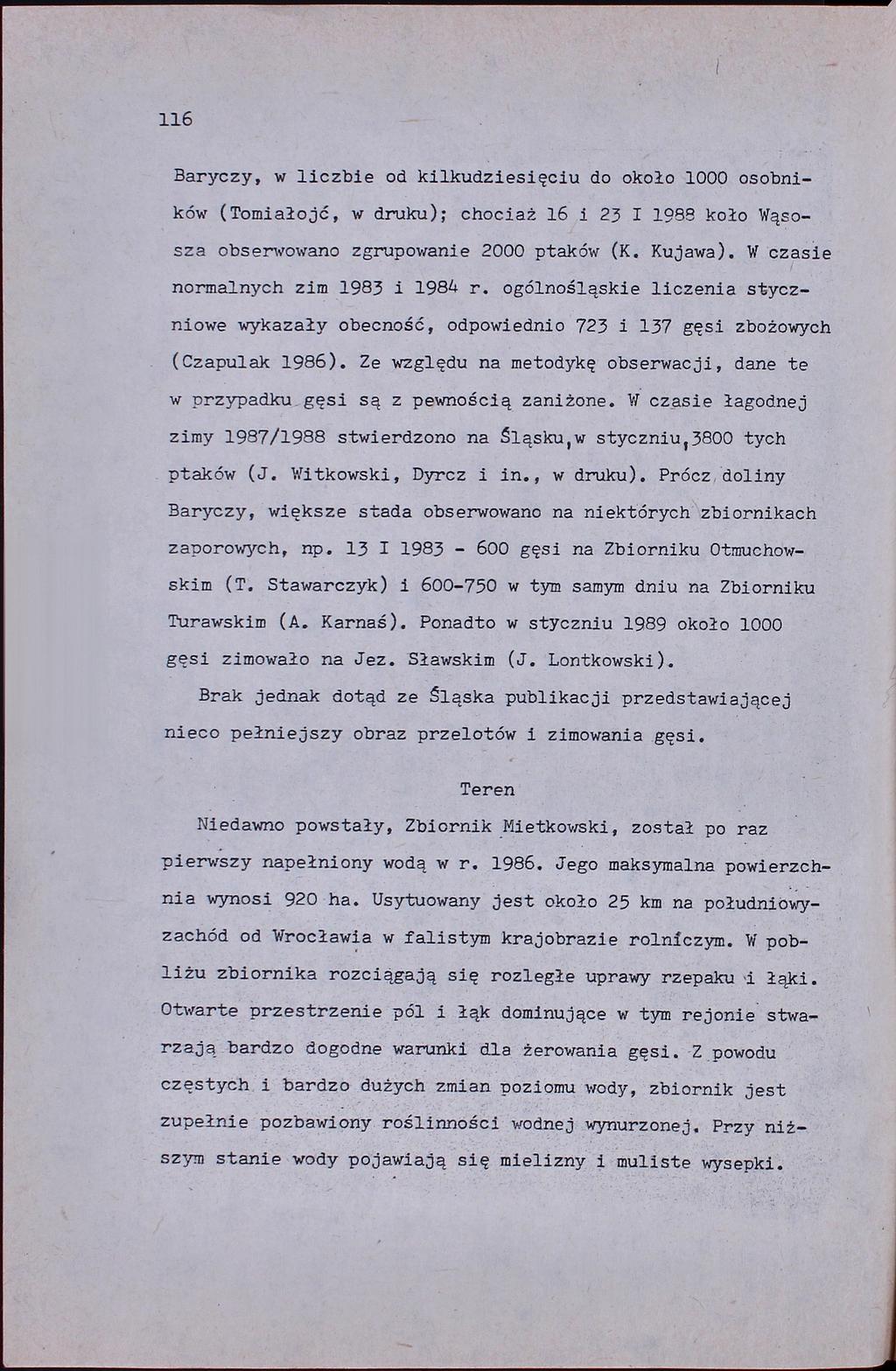 116 Baryczy, w liczbie od kilkudziesięciu do około 1000 osobników (Tomiałojć, w druku); chociaż 16 i 23 I 1988 koło Wąsosza obserwowano zgrupowanie 2000 ptaków (K. Kujawa).