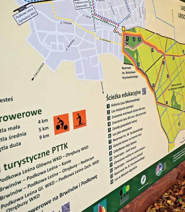 z inicjatywy Towarzystwa Przyjaciół Miasta Ogrodu Podkowa Leśna w Lesie Młochowskim zostały wytyczone ścieżki rowerowe.